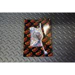 Vito's Performance Clutch Perch E-Z Adjust lever Banshee Raptor YFZ450 450r