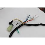 Wire Harness Raptor 660 OEM REPLACEMENT Wiring loom + Plugs 2002 2003 2004 660r4